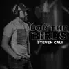 Steven Cali - For the Birds - Single